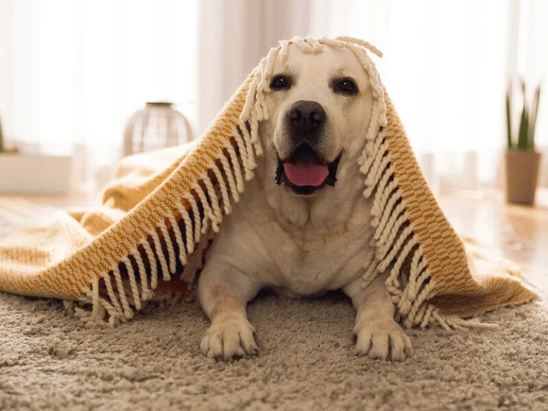 How Can Ventilation Maintain a Warm Home in Winter