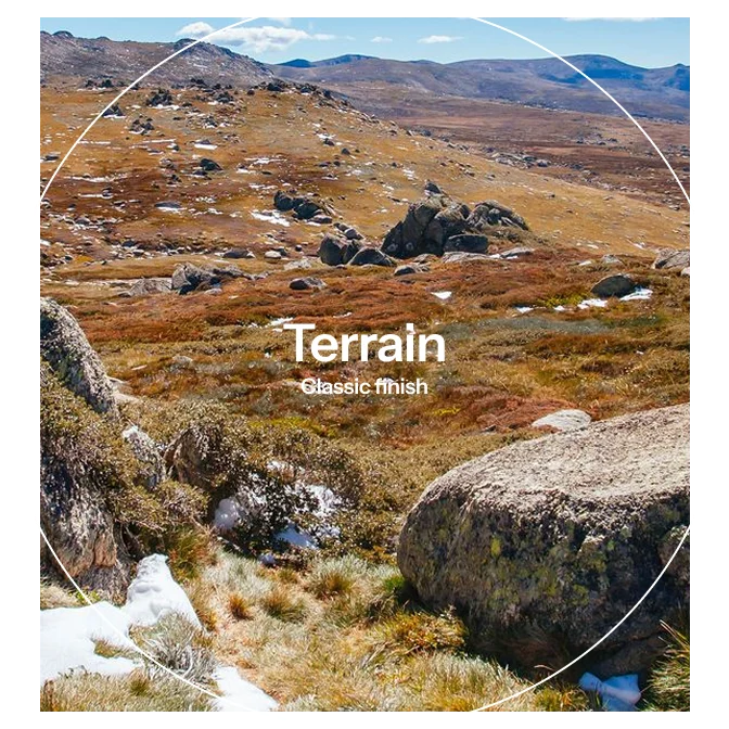 Terrain