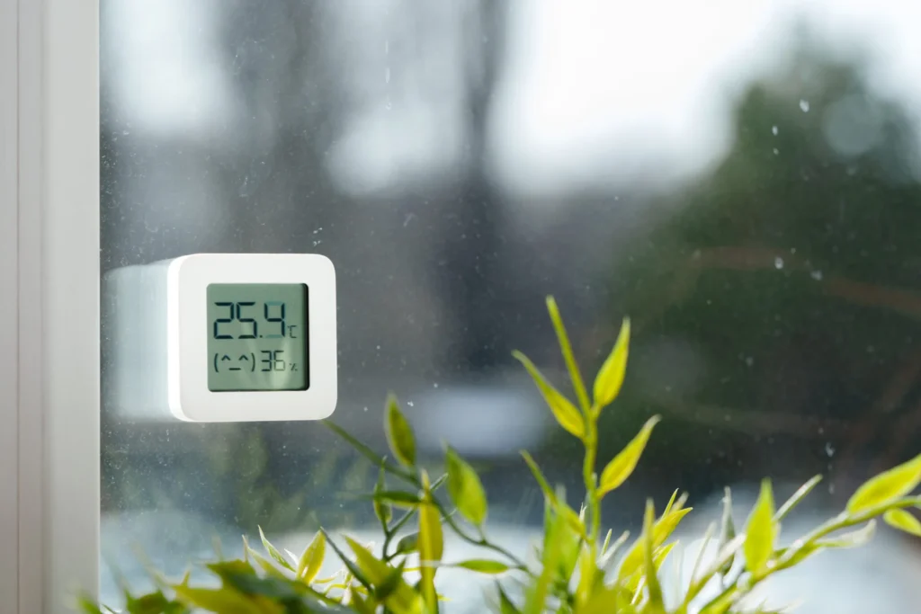 Thermometer attached window with rain plant