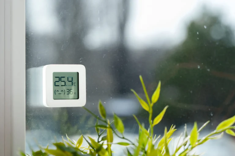 Thermometer attached window with rain plant